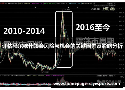 评估马尔穆什转会风险与机会的关键因素及影响分析