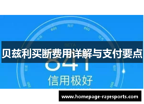 贝兹利买断费用详解与支付要点