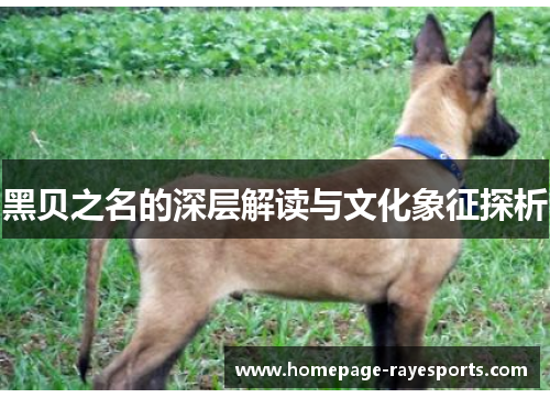 黑贝之名的深层解读与文化象征探析