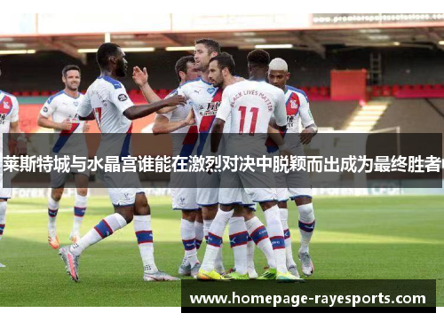 莱斯特城与水晶宫谁能在激烈对决中脱颖而出成为最终胜者 莱斯特城与水晶宫谁能在激烈对决中脱颖而出成为最终胜者